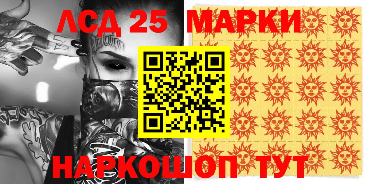 МЕФ Камышлов